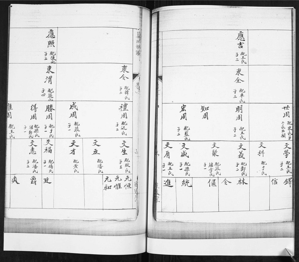 图片[6]-山东青岛即墨丰城龙湾头姜氏族谱（追远堂）电子版PDF下载-中华家谱网