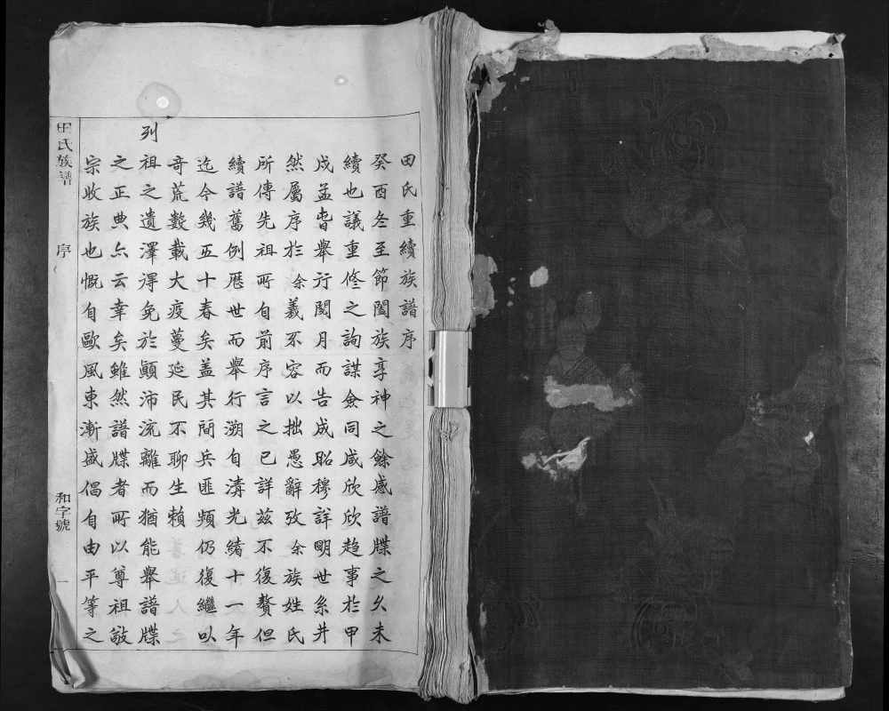 图片[1]-陕西渭南合阳县田氏族谱电子版PDF下载-中华家谱网