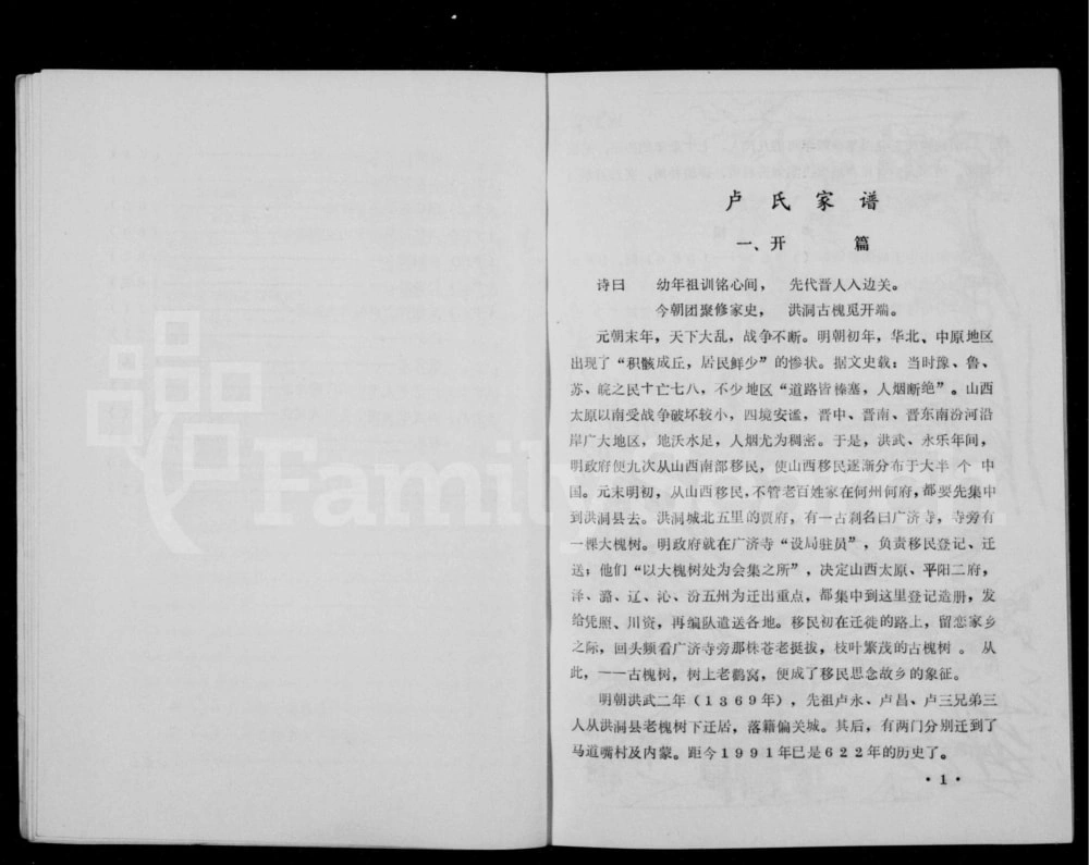 图片[3]-山西忻州偏关县卢氏家谱电子版PDF下载-中华家谱网