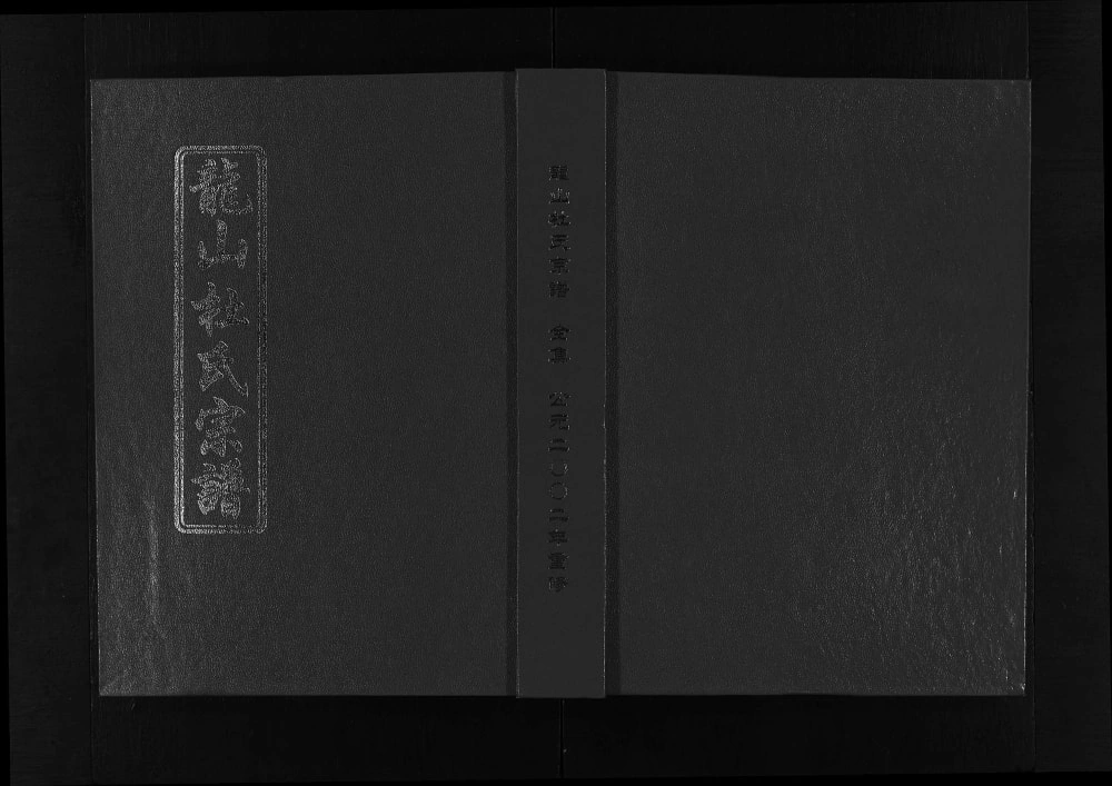 图片[1]-浙江东阳龙山杜氏宗谱电子版PDF下载-中华家谱网