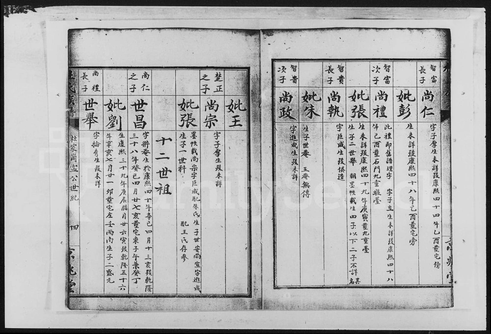 图片[8]-湖南常德张家界杜氏族谱（京兆堂）电子版PDF下载-中华家谱网