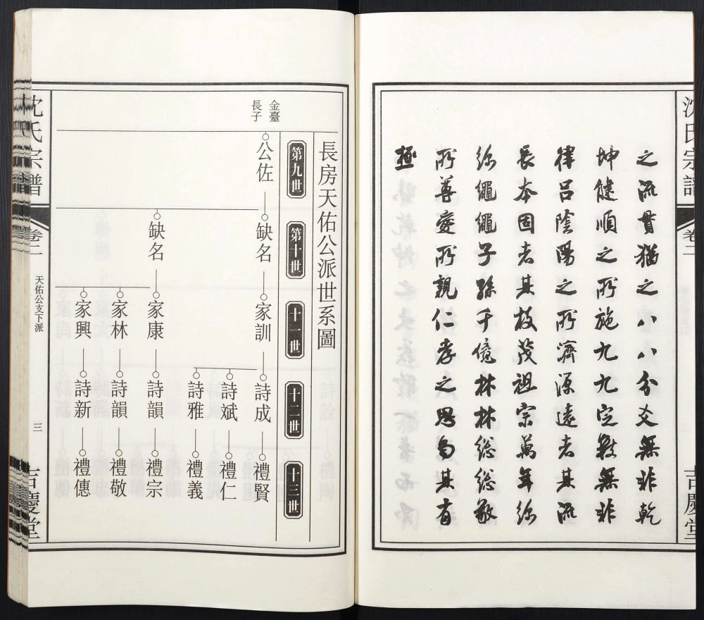 图片[4]-安徽合肥淝南沈氏宗谱（吉庆堂）电子版PDF下载-中华家谱网