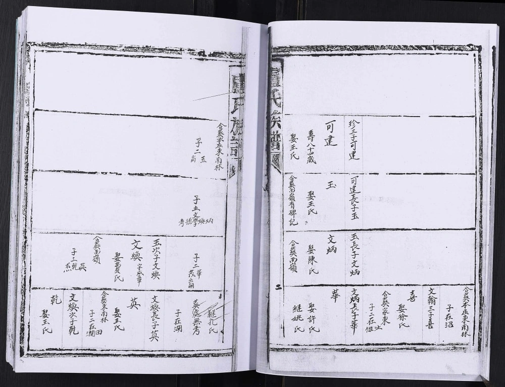 图片[4]-山东日照卢氏族谱电子版PDF下载-中华家谱网