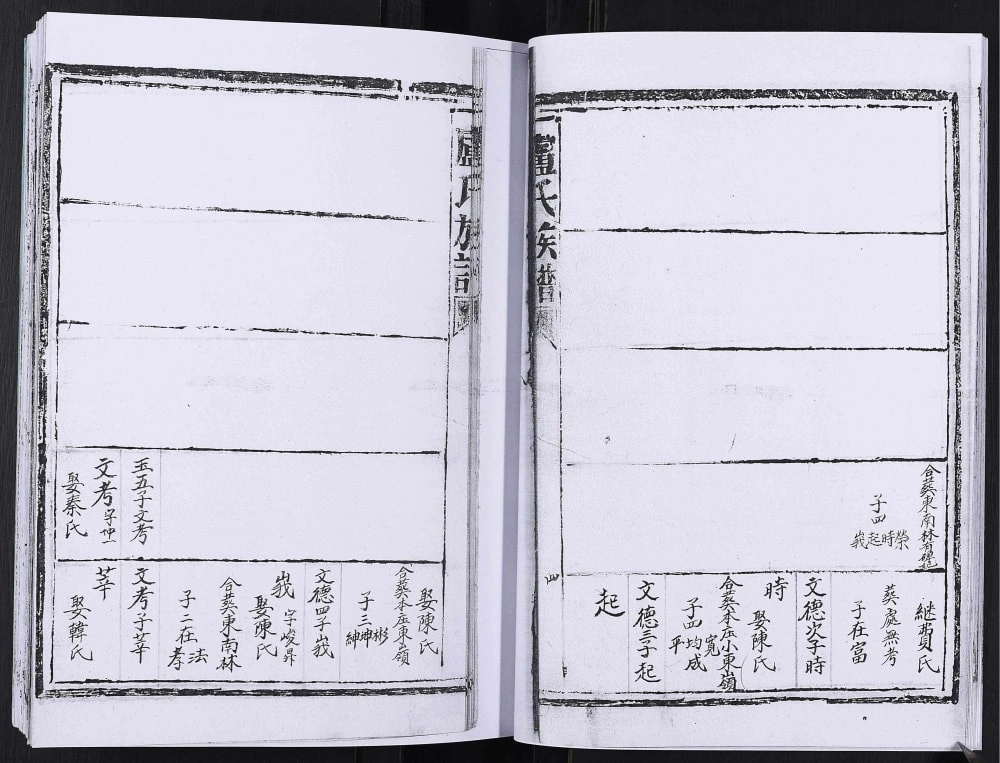 图片[6]-山东日照卢氏族谱电子版PDF下载-中华家谱网
