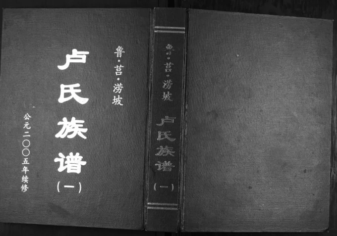 山东临沂莒南县鲁莒涝坡卢氏族谱电子版PDF下载-中华家谱网