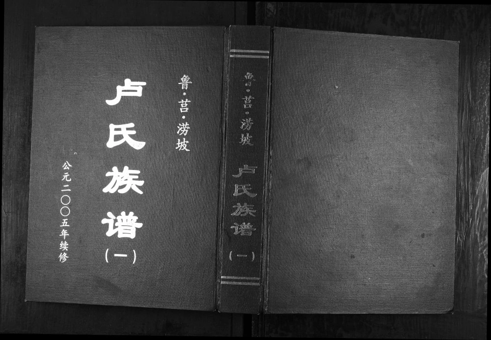 图片[1]-山东临沂莒南县鲁莒涝坡卢氏族谱电子版PDF下载-中华家谱网