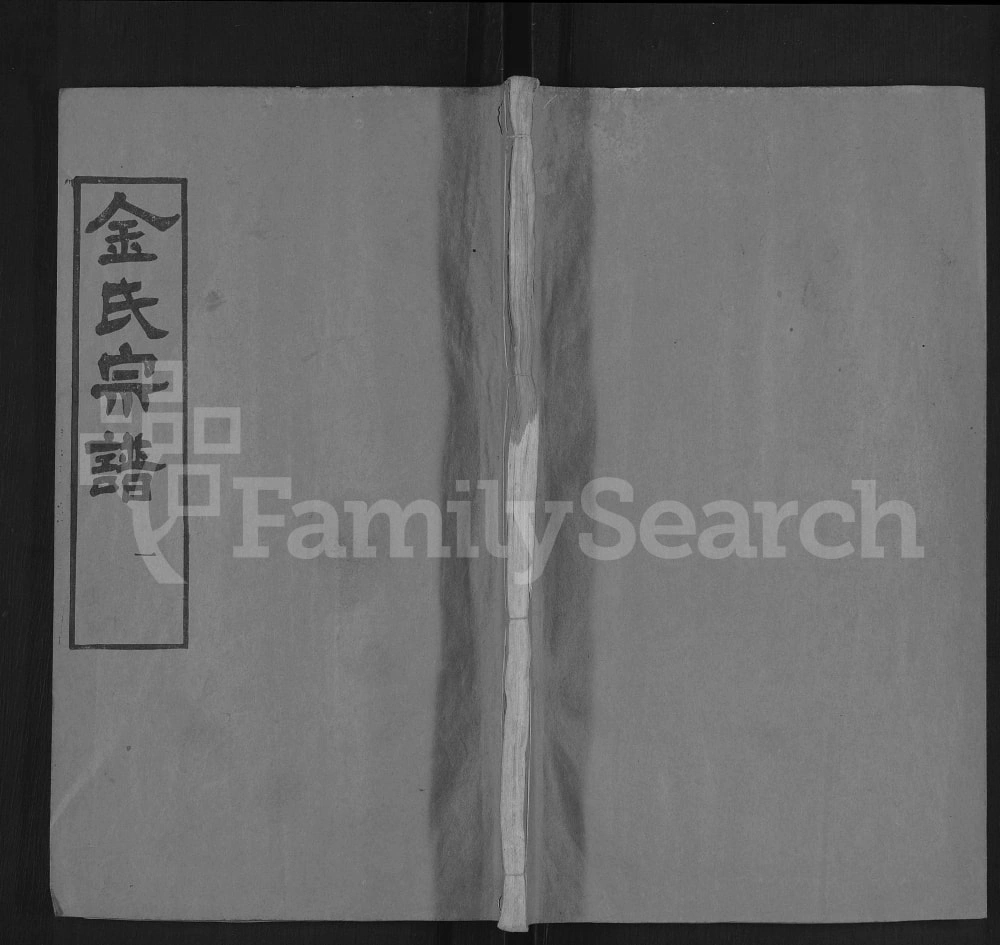 图片[1]-湖北黄冈红安县金氏宗谱（忠孝堂）电子版PDF下载-中华家谱网
