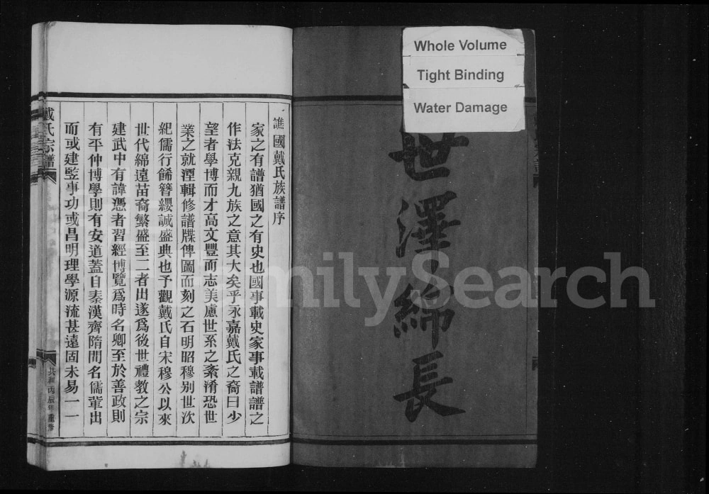 图片[3]-浙江温州平阳县戴氏宗谱电子版PDF下载-中华家谱网