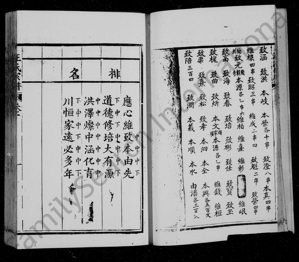 图片[5]-四川简阳汪氏族谱电子版PDF下载-中华家谱网
