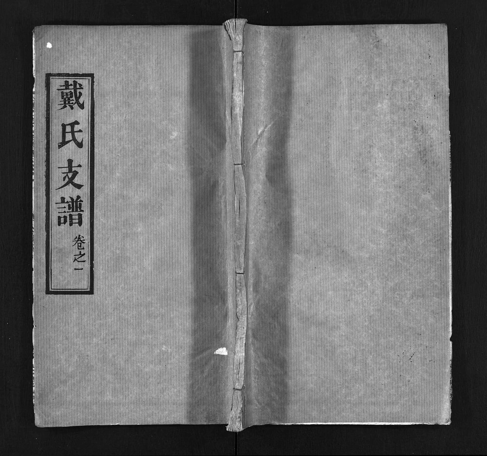 图片[1]-湖北黄冈红安县戴氏宗谱（注礼堂）电子版PDF下载-中华家谱网