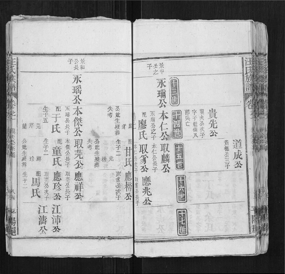 图片[8]-安徽安庆太湖县汪氏族谱电子版PDF下载-中华家谱网